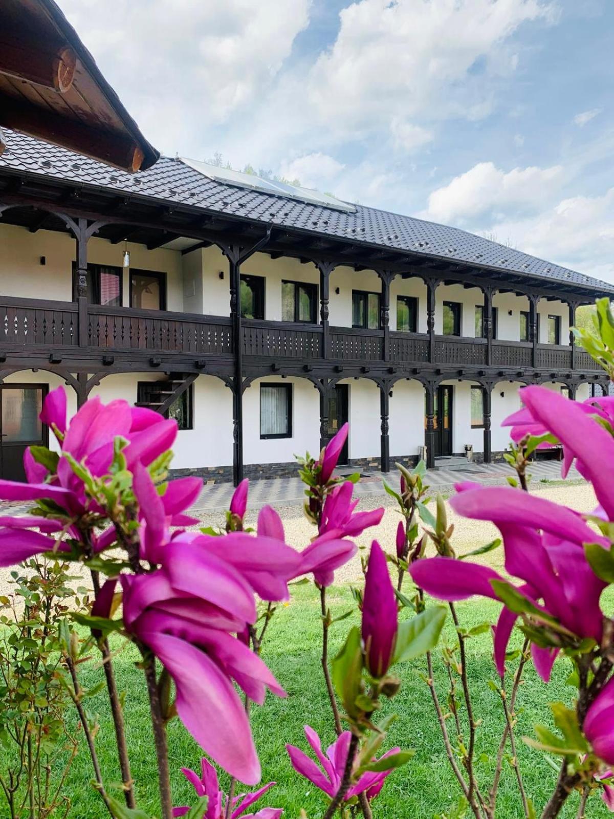Pensiunea Suci Botiza Exterior foto